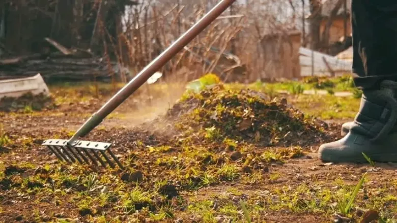 уборка, территории, огородов,