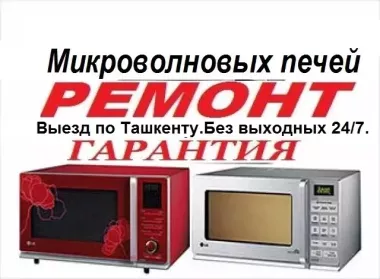 Ремонт микроволновых печей,пылесосов,обогревателей.24/7.Выезд.