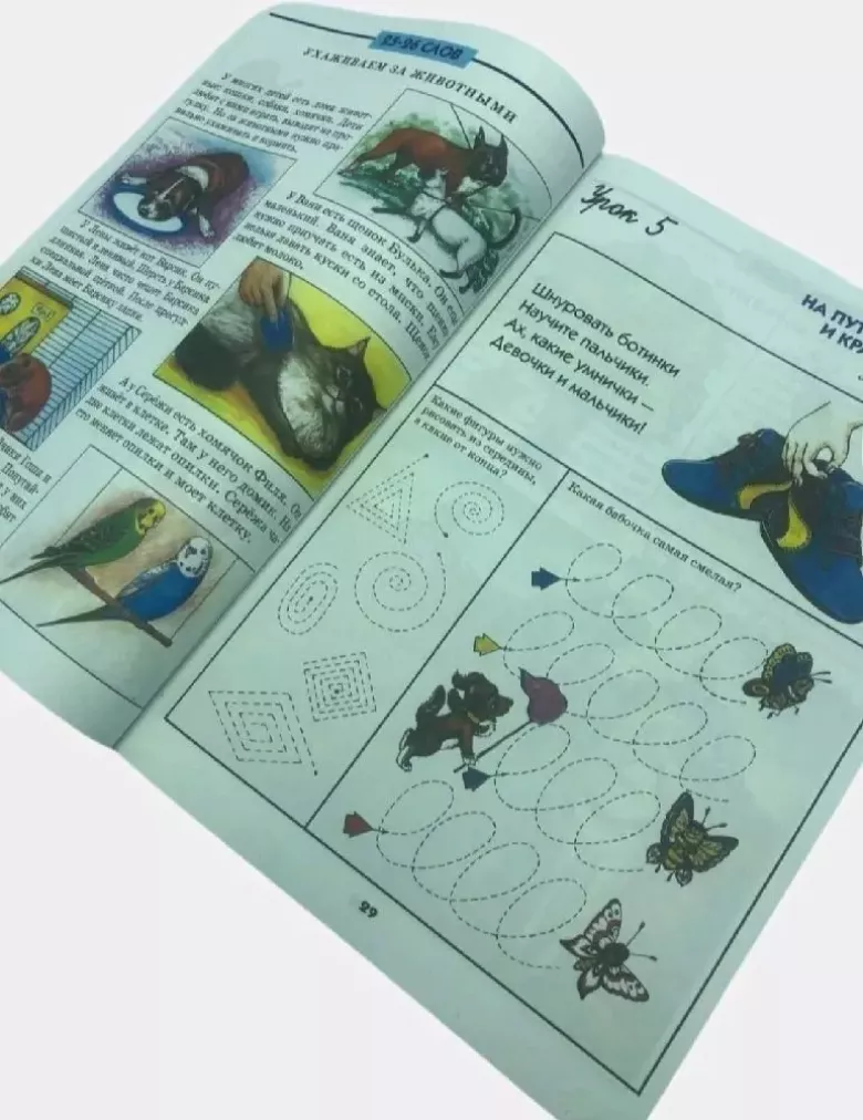 Книга Грамотно пишем для детей С.А.Белолипецкий