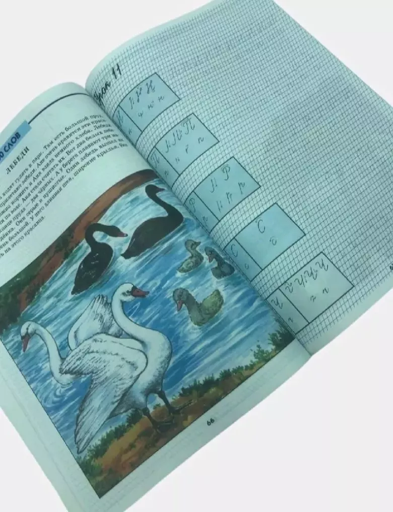 Книга Грамотно пишем для детей С.А.Белолипецкий