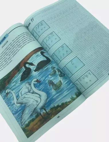 Книга Грамотно пишем для детей С.А.Белолипецкий