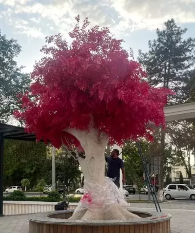 Виноградная лоза (5 штук) и тутовое дерево