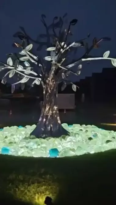 Виноградная лоза (5 штук) и тутовое дерево — 2/4