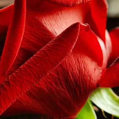 Массаж с выездом