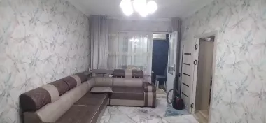 Продам евролюкс 1²/2/4 массивФеруза (Северовосток)