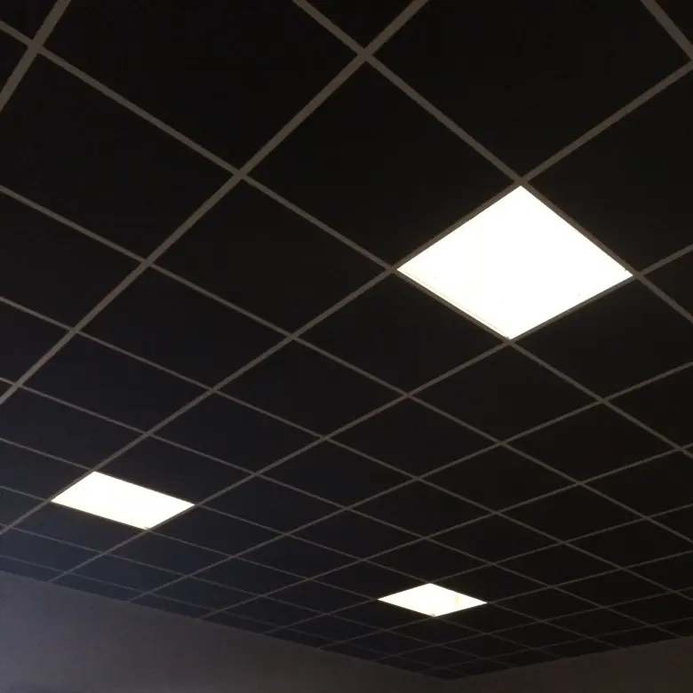 Плиты Ecophon Industry Black 1200x600x30мм — 1/2