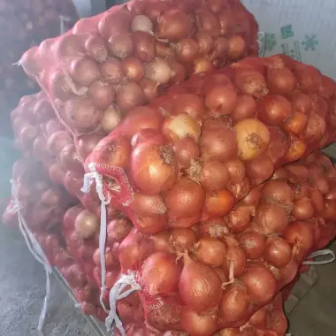Продается лук (пиёз)