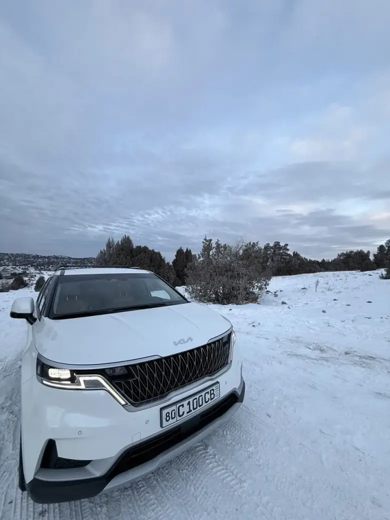 Kia Cornival Xizmati — 2/3