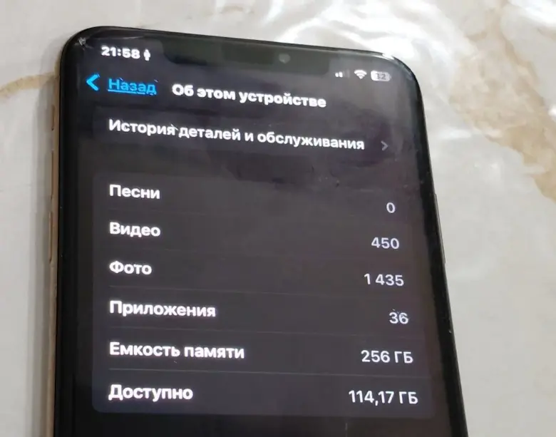Xs max 256 gold — 5/6