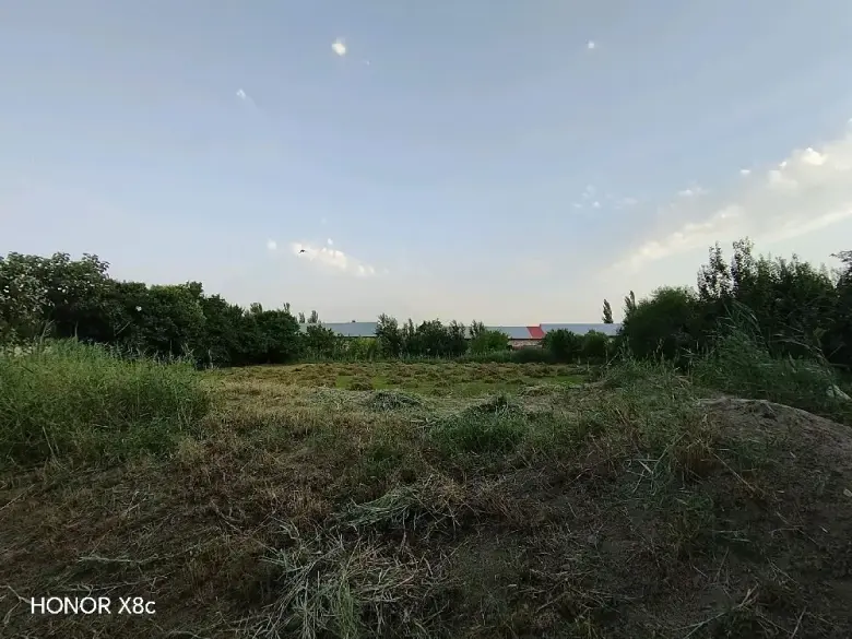 Йер участкачини сотмокчиман хамма хужатлари ьор — 1/2