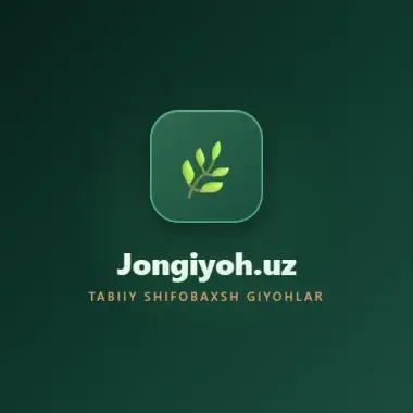 Разработка интернет-магазинов и каталогов | E-commerce — 2/2