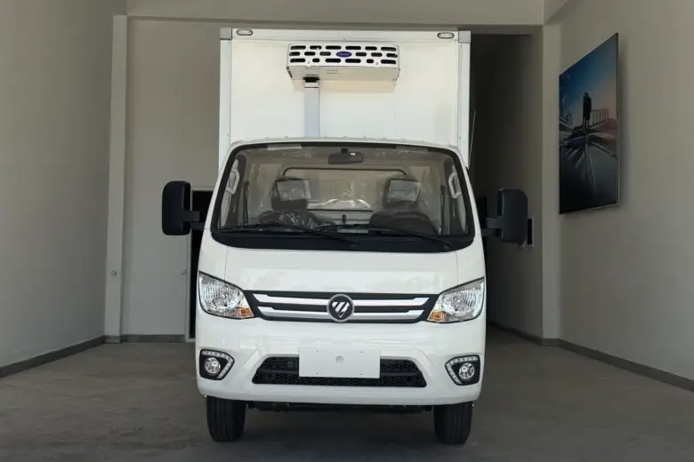 Foton Truck Mate - Рефрижератор Carrier -20/+12 C. — 1/3