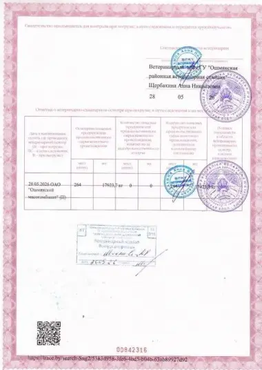 Продается охлажденное мясо говядина бычки 1 категории экстра из белоруссии с первых рук — 2/4
