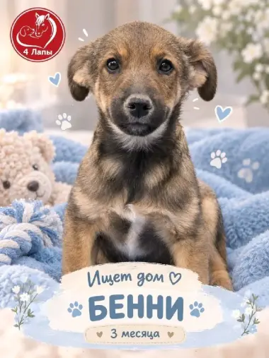 Подари лучшую семью Бенни