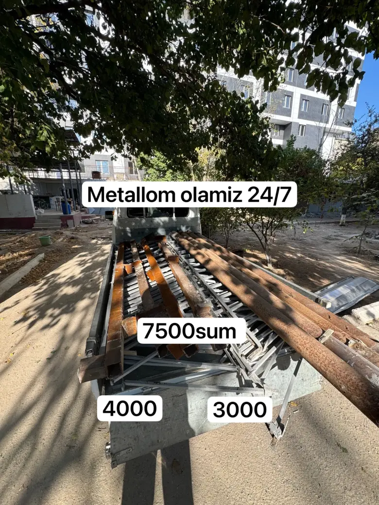 Metallom mis alaumrn bronza — 1/1