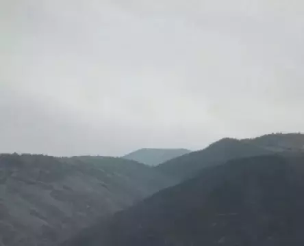 Миран Камилов