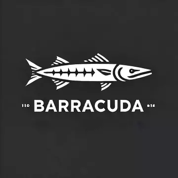 Barracuda Craft